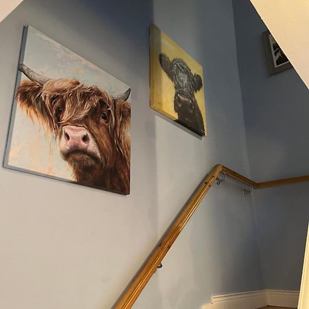 11 Parkmore Street, Ormeau Road, Belfast, Bt7 2Gt, 2 Bedroom House Exteriér fotografie