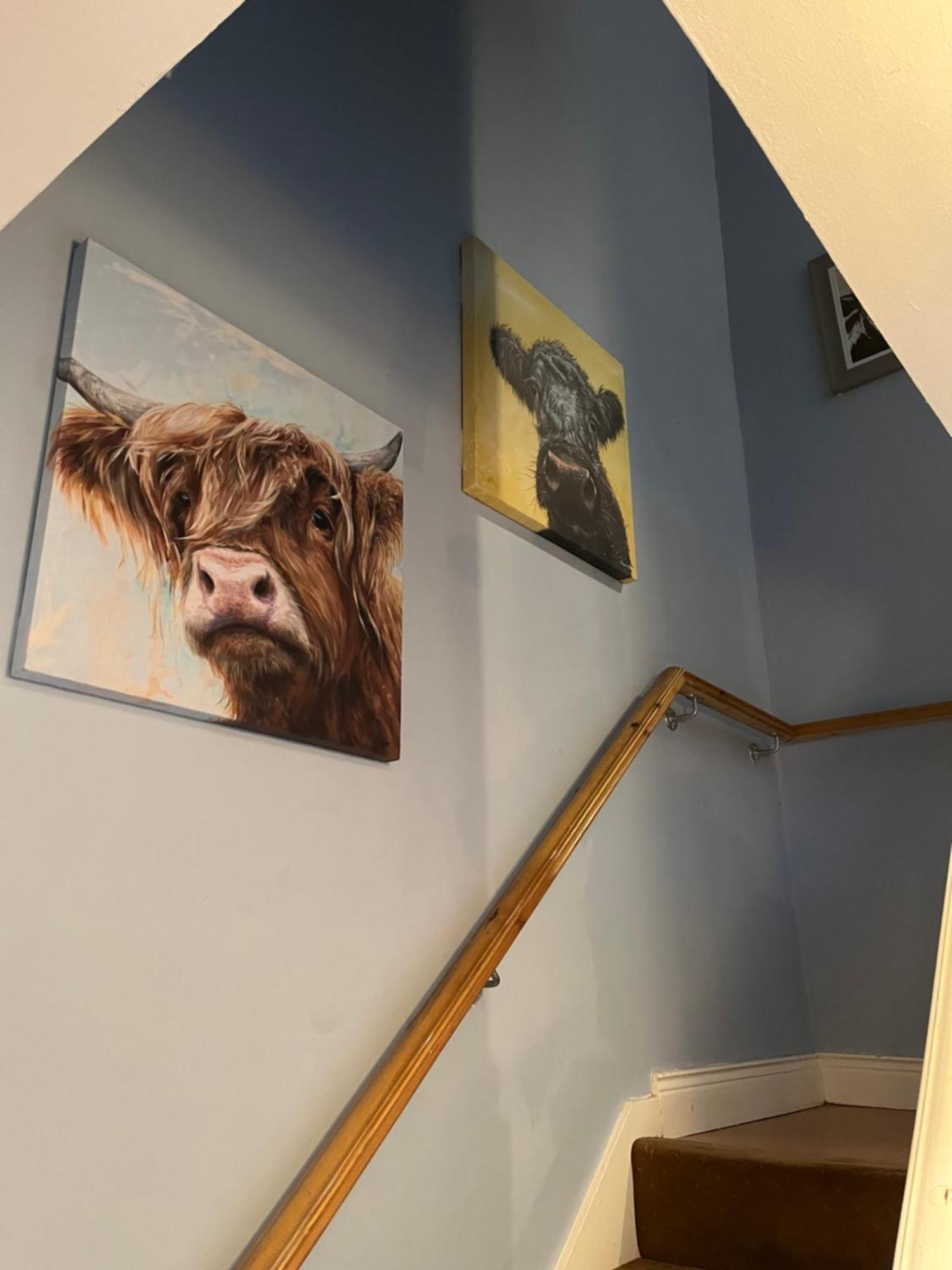 11 Parkmore Street, Ormeau Road, Belfast, Bt7 2Gt, 2 Bedroom House Exteriér fotografie