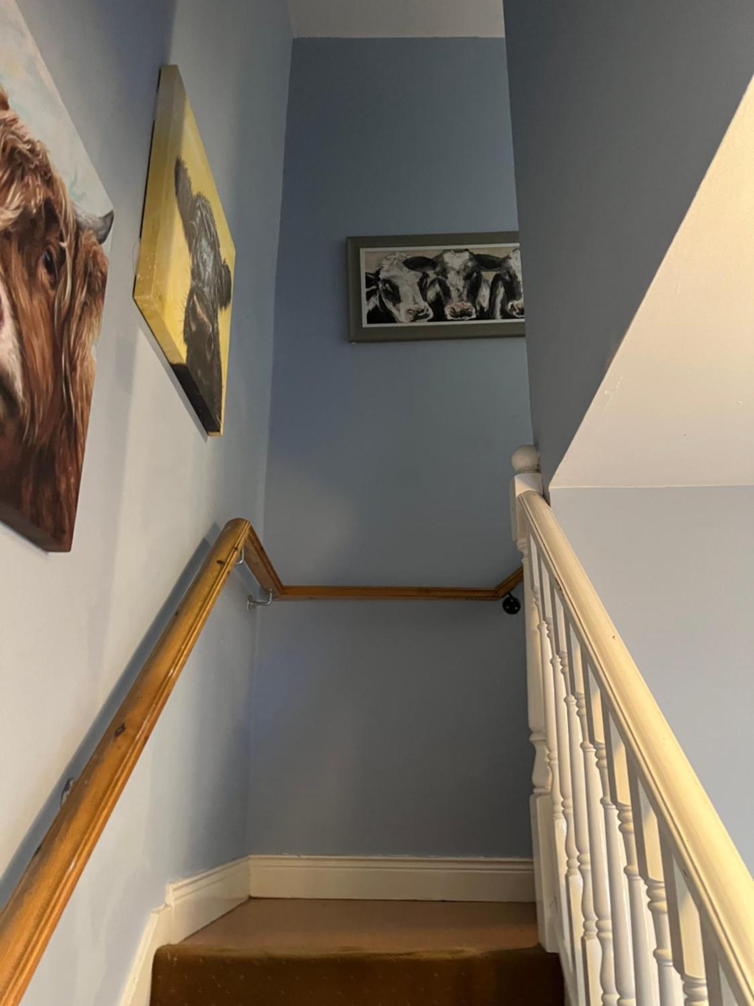 11 Parkmore Street, Ormeau Road, Belfast, Bt7 2Gt, 2 Bedroom House Exteriér fotografie